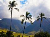  maui attractions
